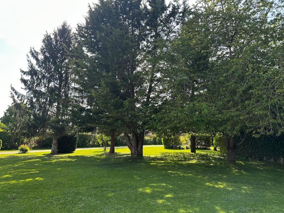 La Maison Girafe Hébergement de vacances Faverolles (Eure-et-Loir)